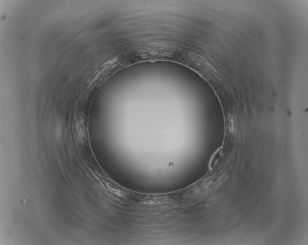 X0000073450915200608111346