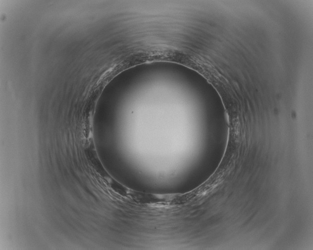 X0000073450916200608111346