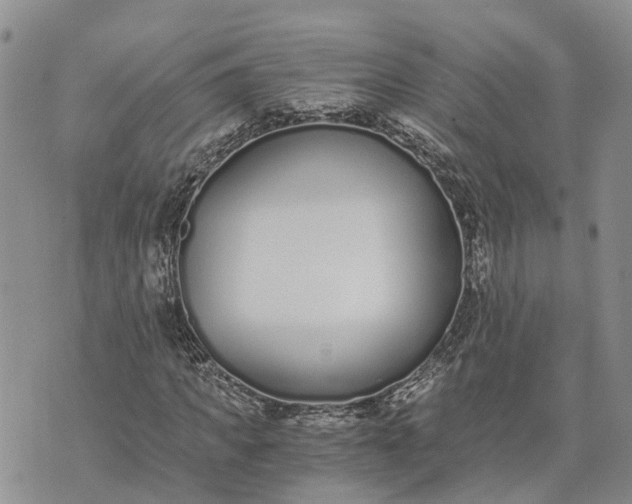 X0000073450917200608111346