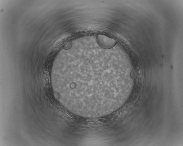 X0000073450918200608111346