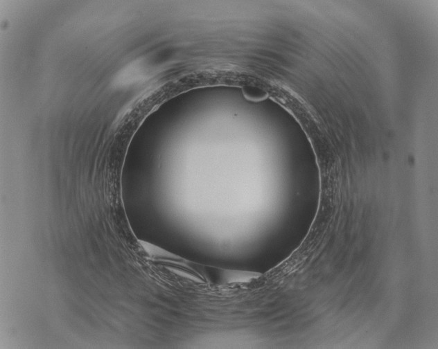 X0000073450919200608111346