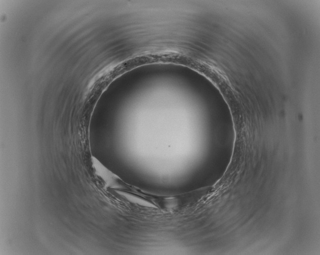 X0000073450920200608111346