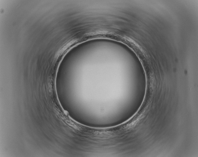 X0000073450921200608111346