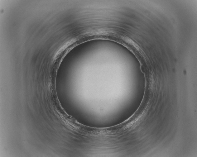 X0000073450922200608111346