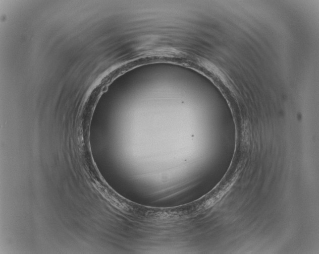 X0000073450923200608111346