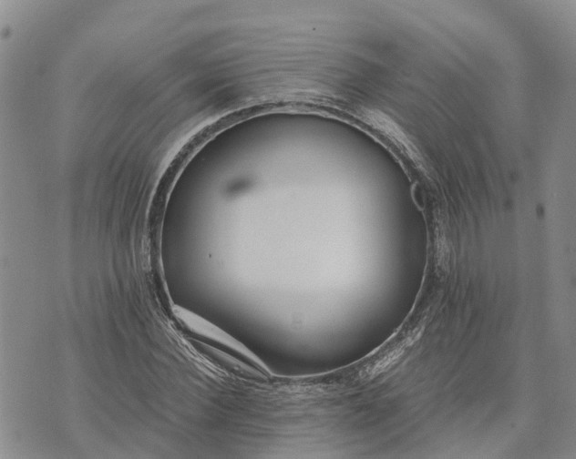 X0000073450924200608111346