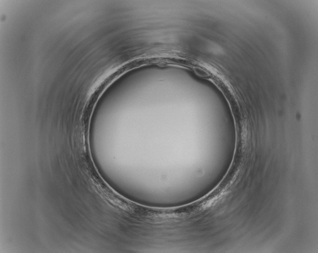 X0000073450925200608111346