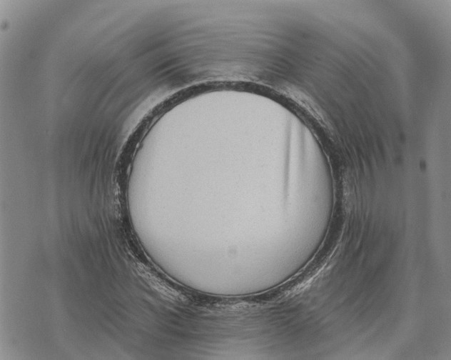 X0000073450926200608111346