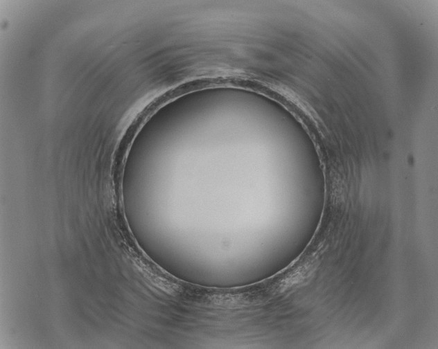 X0000073450927200608111346