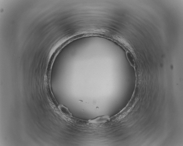 X0000073450928200608111346