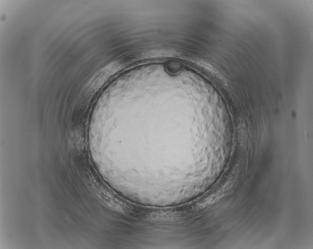 X0000073450929200608111346