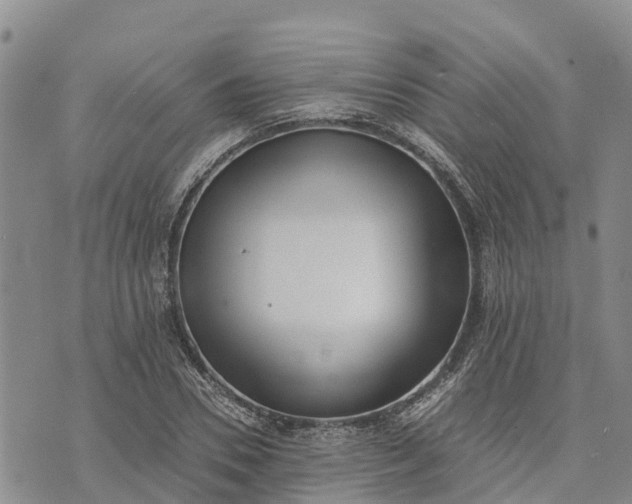 X0000073450930200608111346