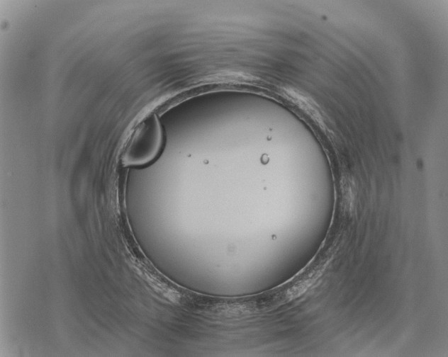 X0000073450931200608111346