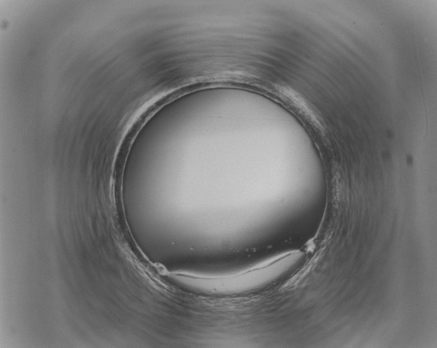 X0000073450932200608111346