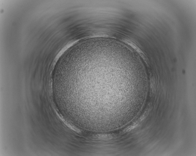 X0000073450933200608111346