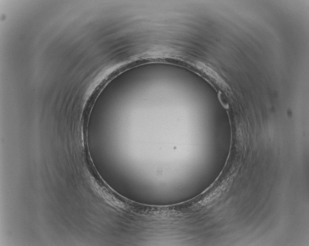 X0000073450934200608111346