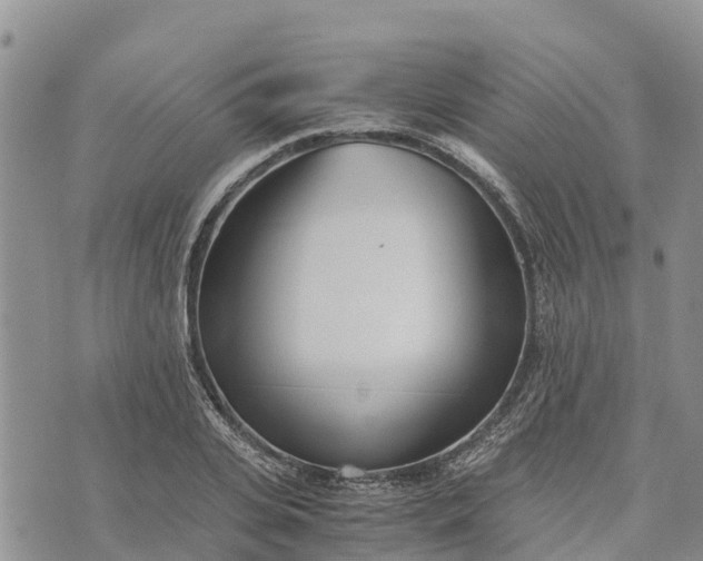 X0000073450935200608111346