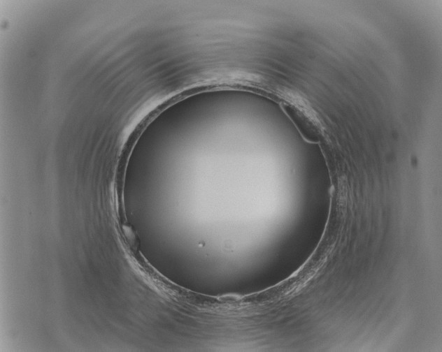 X0000073450936200608111346