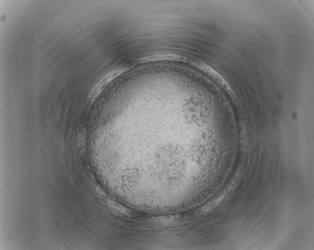 X0000073450937200608111346