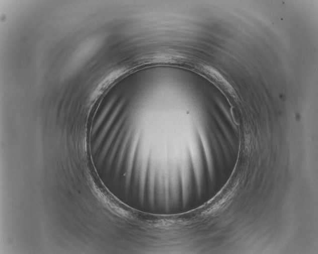 X0000073450938200608111347