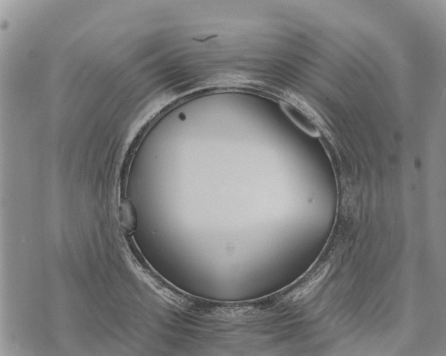 X0000073450939200608111347