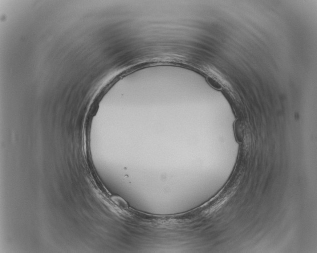 X0000073450940200608111347