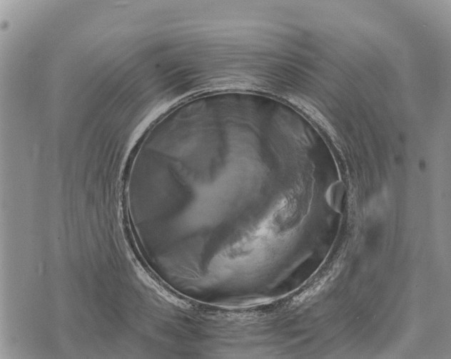 X0000073450941200608111347