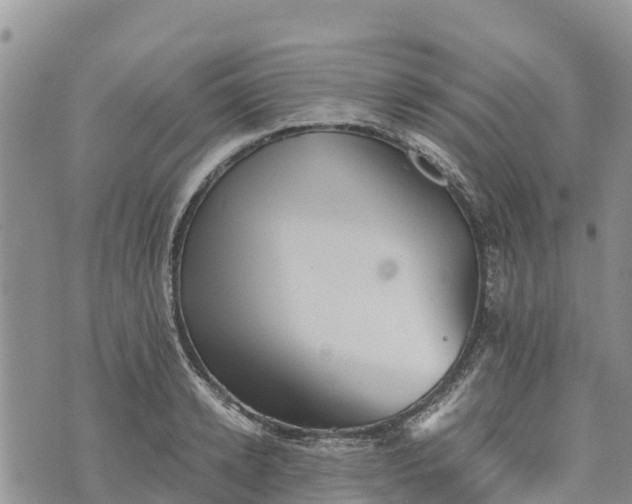 X0000073450942200608111347