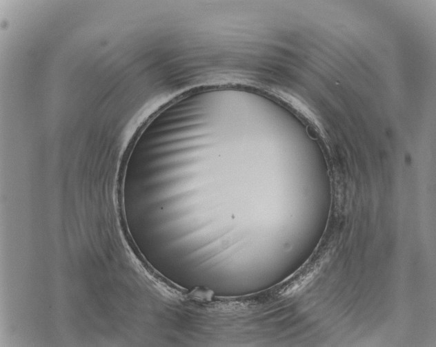 X0000073450943200608111347