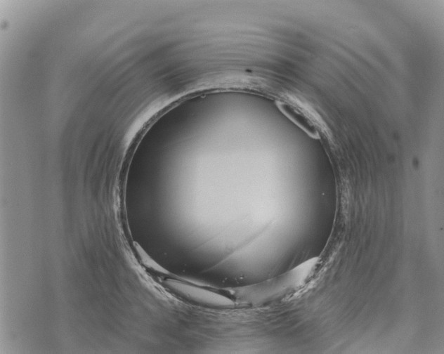 X0000073450944200608111347