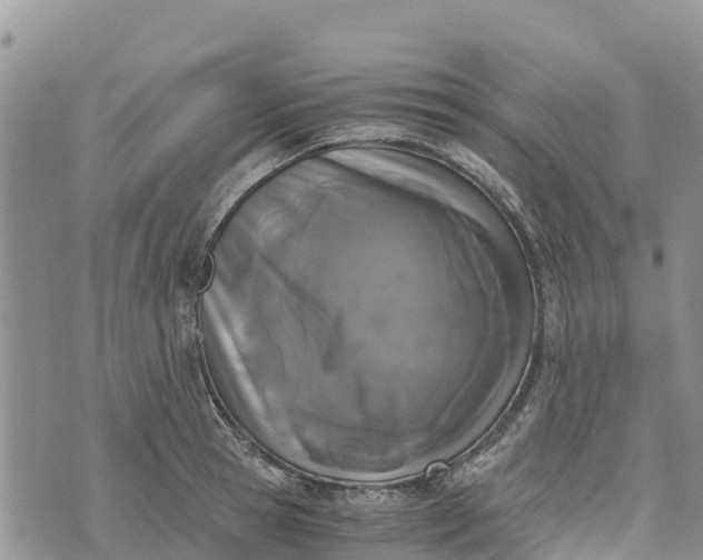 X0000073450945200608111347