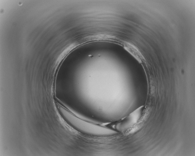 X0000073450946200608111347