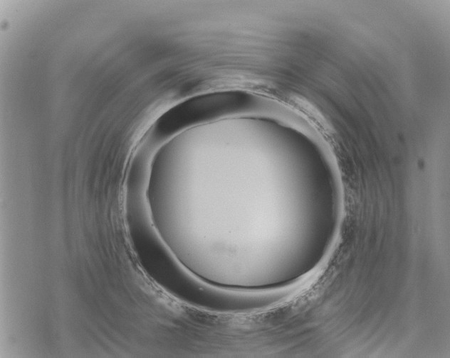 X0000073450948200608111347