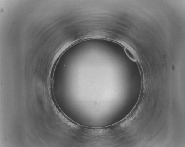 X0000073450949200608111347