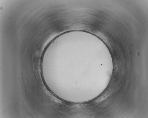 X0000073450950200608111347