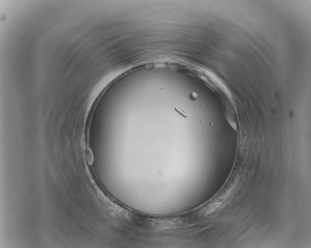 X0000073450951200608111347