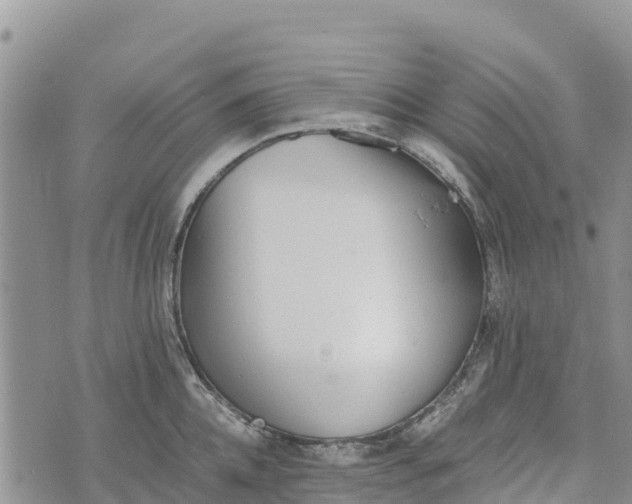 X0000073450952200608111347