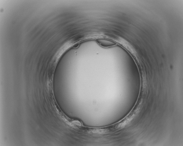 X0000073450953200608111347