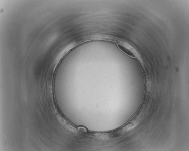 X0000073450954200608111347