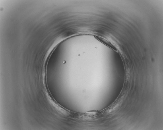 X0000073450955200608111347