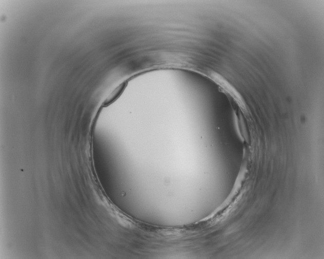 X0000073450956200608111347