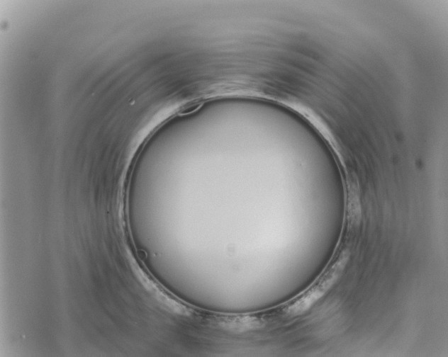 X0000073450957200608111347