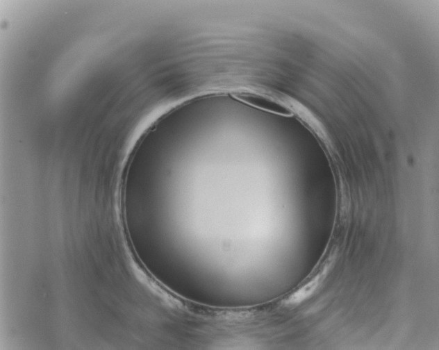 X0000073450958200608111347