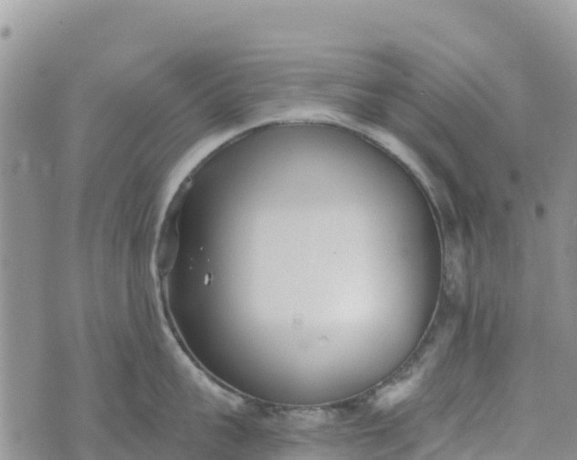 X0000073450959200608111347