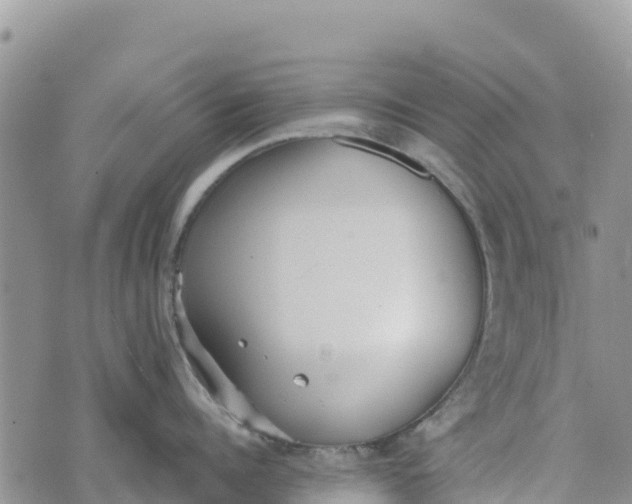 X0000073450960200608111347