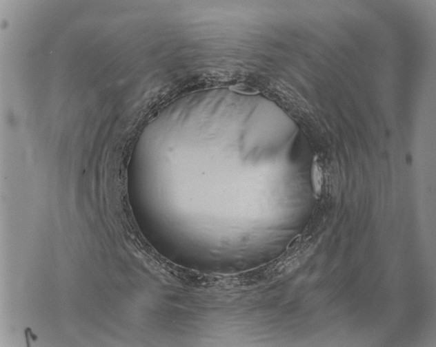 X0000073450961200608111346