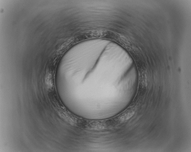 X0000073450962200608111346