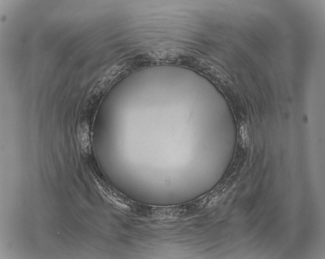 X0000073450963200608111346