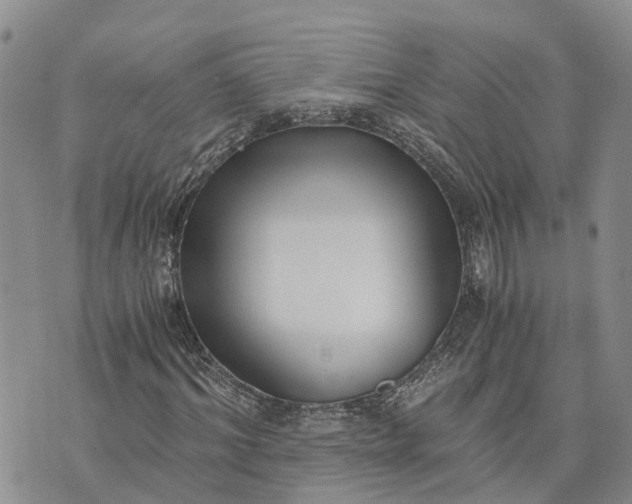 X0000073450964200608111346