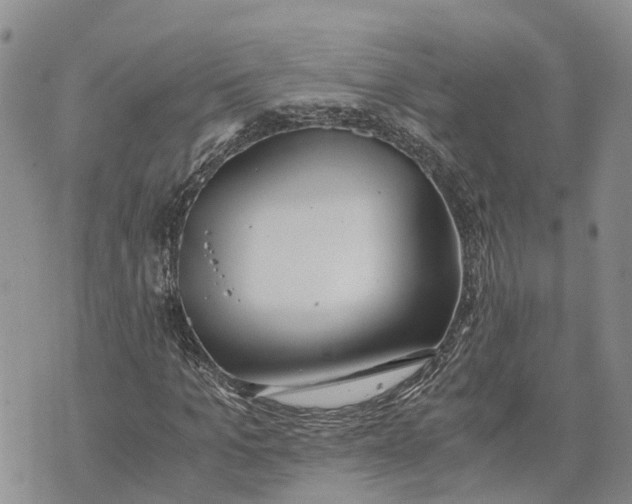 X0000073450965200608111346